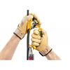 Picture of Ascension  Right Hand Clamp